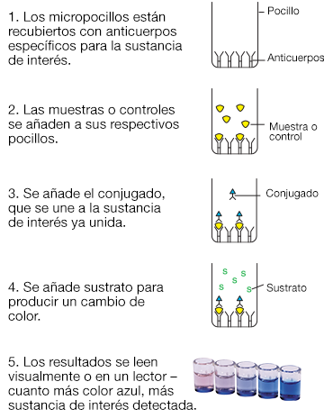 Veratox® Sistemas para Cuantificar Alergenos